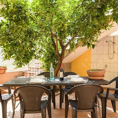 Corbezzolo * باري ساردو